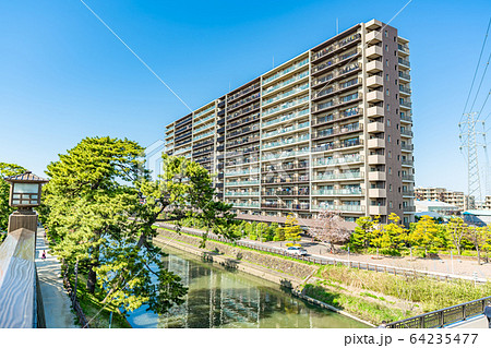 日光街道 国指定名勝 草加松原 日光街道 国指定名勝 草加松原 64235477