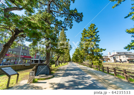 日光街道 国指定名勝 草加松原 日光街道 国指定名勝 草加松原 64235533