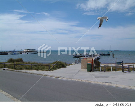 ロットネスト島 ロットネスト ロットネストアイランド Rottnest ロットネスト島 ロットネスト ロットネストアイランド Rottnest 64236013