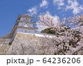 明石公園　桜01 64236206