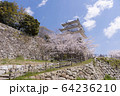 明石公園　桜02 64236210