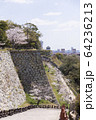 明石公園　桜05 64236213