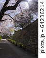 明石公園　桜06 64236214