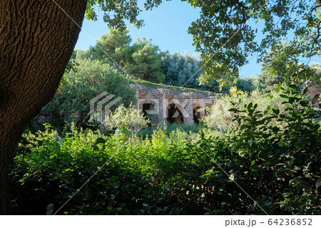 スペイン バルセロナ グエル公園 スペイン バルセロナ グエル公園 64236852