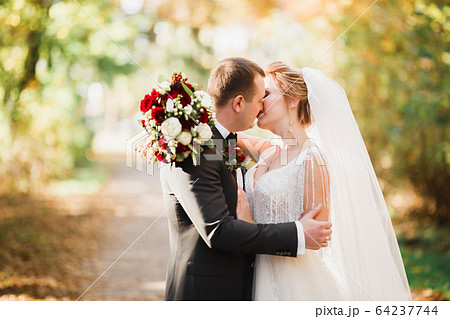 Romantic, fairytale, happy newlywed couple hugging and kissing in a park, trees in background 64237744