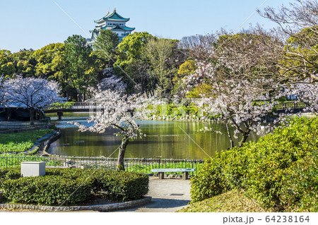 愛知県 名古屋市 名城公園からの名古屋城の写真素材 [64238164] - PIXTA