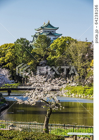 名城公園から見た名古屋城 愛知県 名古屋市 名城公園からの名古屋城の写真素材 [64238166] - PIXTA