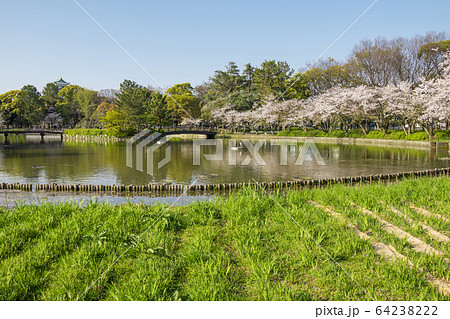 愛知県 名古屋市 名城公園 愛知県 名古屋市 名城公園 64238222