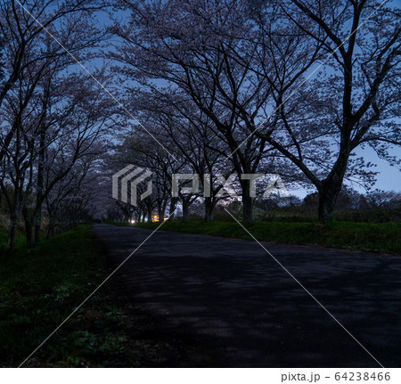 津市 安濃 北神山花街道 津市 安濃 北神山花街道 64238466