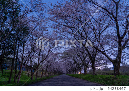 津市　安濃　北神山花街道 64238467