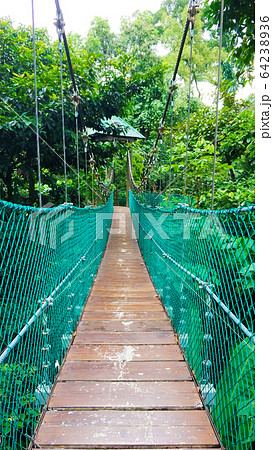 Beautiful green park with cable cars. Wildlife 64238936