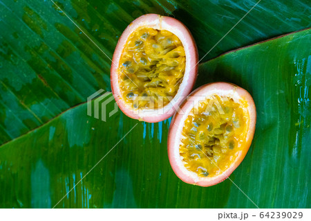 Ripe passion fruit, on a wet banana leaf. 64239029