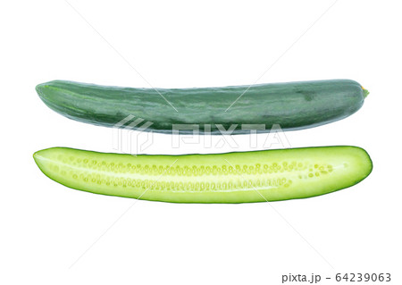 きゅうり 64239063