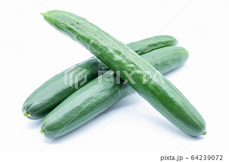 きゅうり 64239072