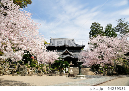 西国第三番札所 粉河寺の本堂と日本庭園 西国第三番札所 粉河寺の本堂と日本庭園 64239381