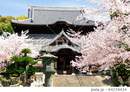 西国第三番札所 粉河寺の本堂 西国第三番札所 粉河寺の本堂 64239434