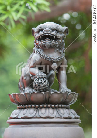 31 May 2008 Lion statue at the Nan Lian Garden, 31 May 2008 Lion statue at the Nan Lian Garden, 64239787
