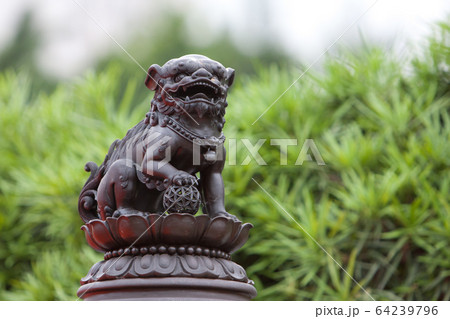 31 May 2008 Lion statue at the Nan Lian Garden, 31 May 2008 Lion statue at the Nan Lian Garden, 64239796
