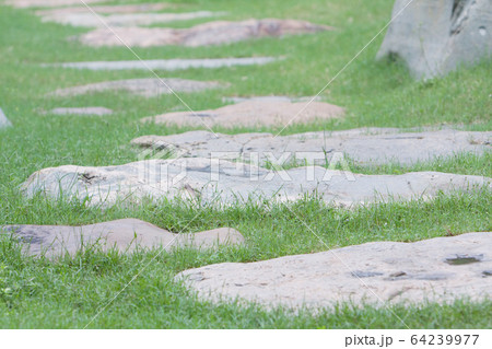 31 May 2008 the path at Nan Lian Garden, Kowloon, 64239977