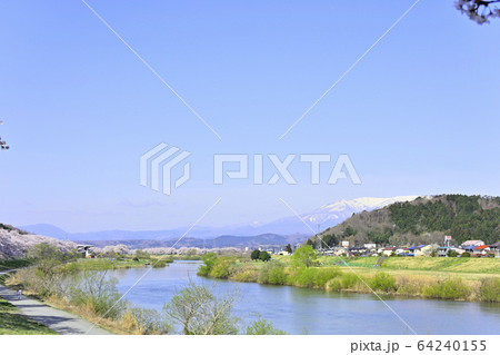 桜と蔵王 桜と蔵王 64240155