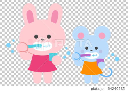 Rabbits and rats brushing their teeth 64240285
