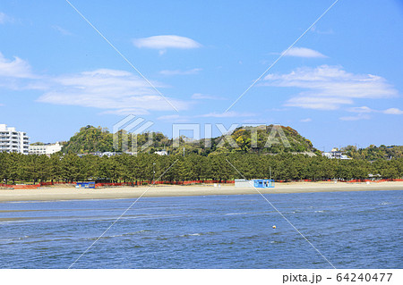 海の公園(春) 海の公園(春) 64240477