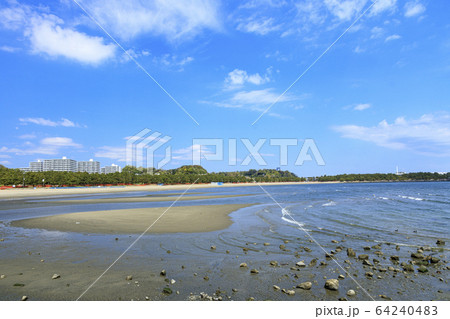 海の公園（春） 64240483
