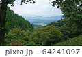 糸島 64241097