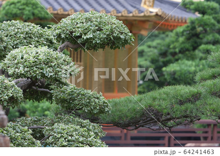 31 May 2008 the Nan Lian Garden, Kowloon, Hong 64241463