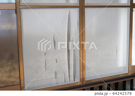 破れた網戸 64242579