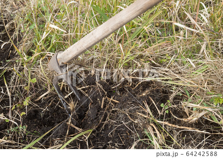 備中鍬での草地の開墾 64242588