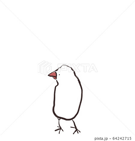 白文鳥 手描きイラスト オリジナル 137 Bvh Edu Gt 白文鳥 手描きイラスト オリジナル 137 Bvh Edu Gt