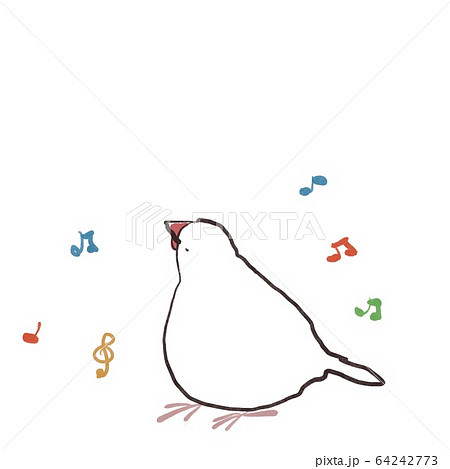 横向きで歌を歌うご機嫌な文鳥 64242773