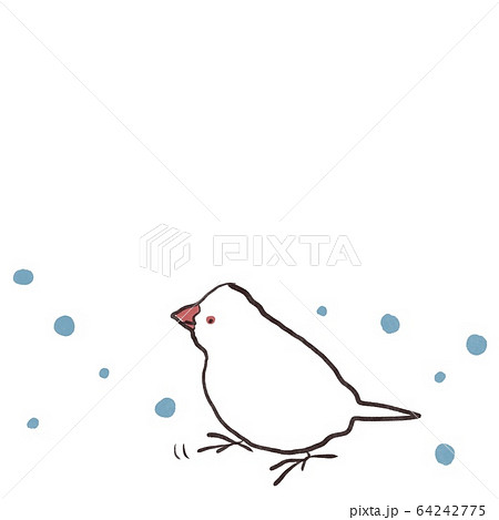 横を向いた文鳥と水玉フレーム（白文鳥） 64242775