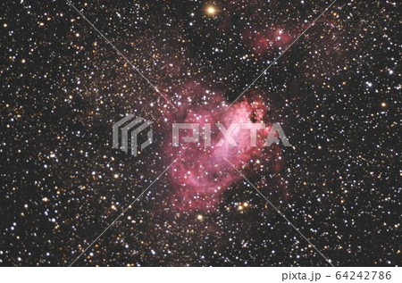 M17 64242786