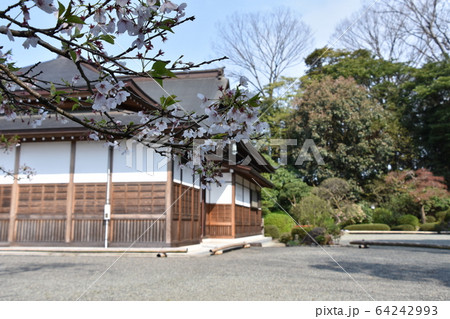 浄見寺 茅ヶ崎市 大岡越前 浄見寺 茅ヶ崎市 大岡越前 64242993
