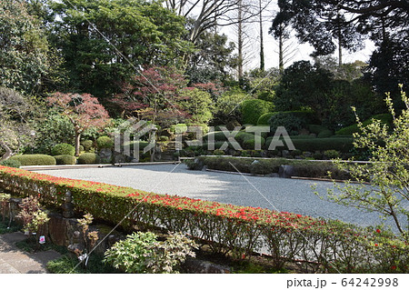 浄見寺 茅ヶ崎市 大岡越前 浄見寺 茅ヶ崎市 大岡越前 64242998