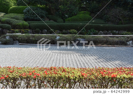 浄見寺 茅ヶ崎市 大岡越前 浄見寺 茅ヶ崎市 大岡越前 64242999