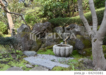 浄見寺 茅ヶ崎市 大岡越前 浄見寺 茅ヶ崎市 大岡越前 64243081