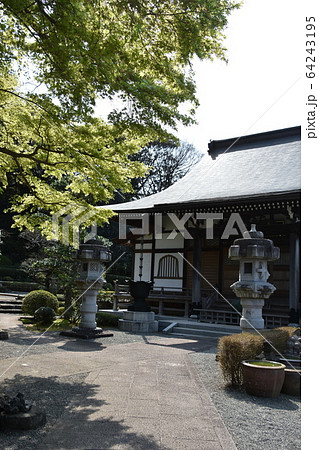 浄見寺 茅ヶ崎市 大岡越前 浄見寺 茅ヶ崎市 大岡越前 64243195