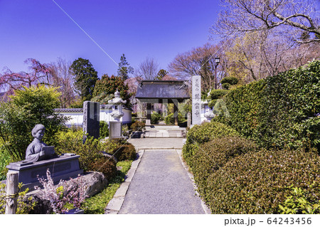 (山梨県)慈雲寺の境内 (山梨県)慈雲寺の境内 64243456