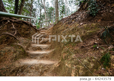 山道 歩道 64243579