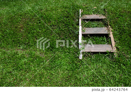 The way path in outdoor green grass park 64243764