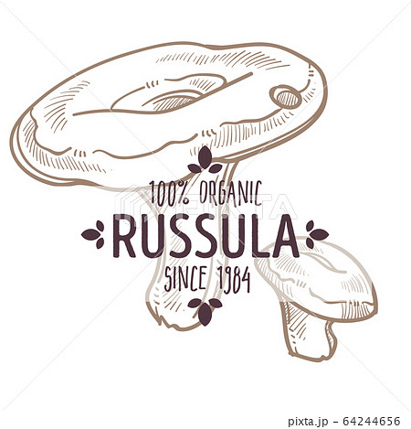 Russula mushroom, Agaricus fungi monochrome sketch label vector Russula mushroom, Agaricus fungi monochrome sketch label vector 64244656