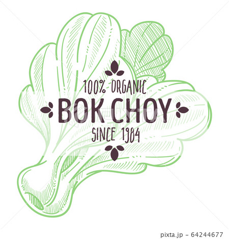 Bok choy or pak choi chinese cabbage emblem 64244677