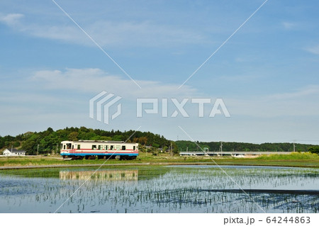 ひたちなか海浜鉄道湊線、中根・金上駅間を走る普通列車（ミキ300形） 64244863