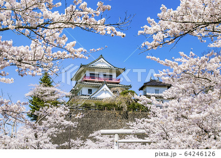 涌谷城址の桜　桜　涌谷神社 64246126