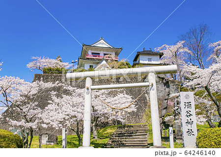 涌谷城址の桜 桜 涌谷神社 涌谷城址の桜 桜 涌谷神社 64246140