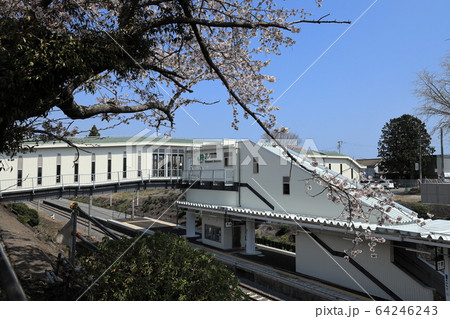 双葉郡富岡町　2020年4月4日 64246243