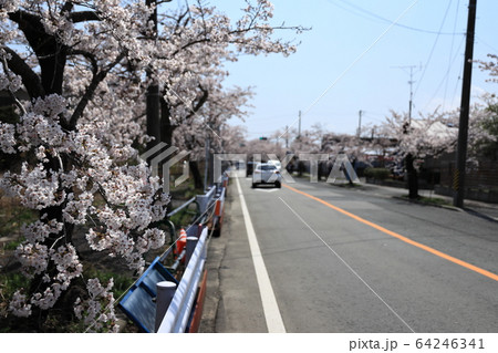 双葉郡富岡町　2020年4月4日 64246341